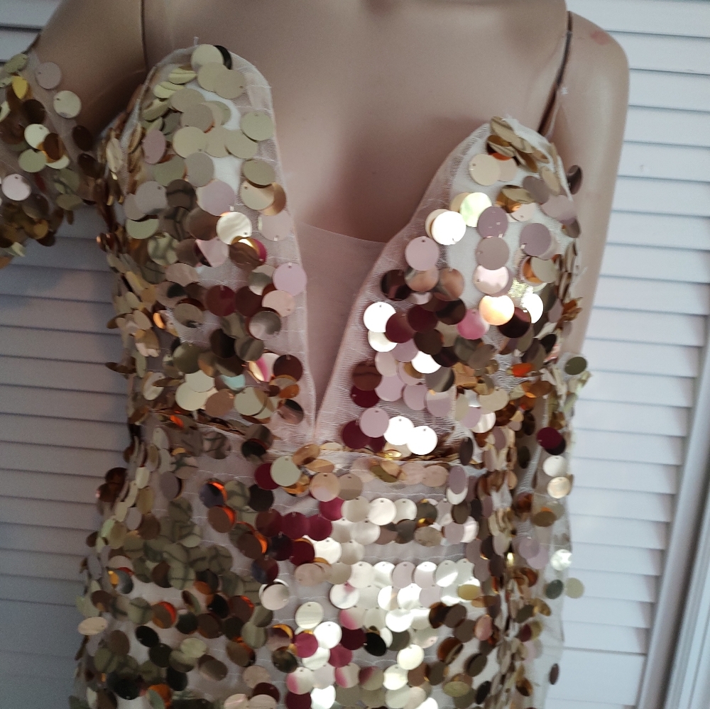 Sexy sheer metallic gown - Picture 5 of 16